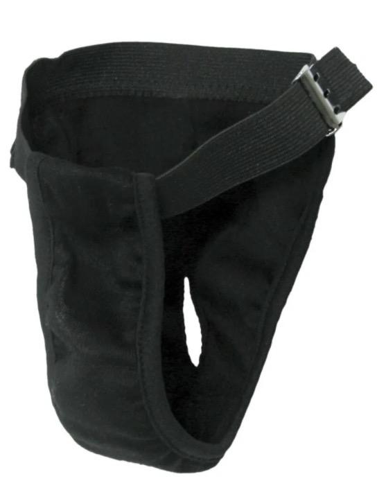 braguitas_higienicas_perra_celoo WWE