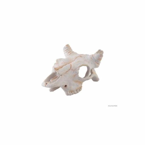 Calaveras decorativa para terrarios EXOTERRA [1]