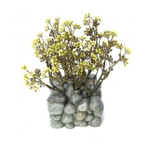 decoracion_piedra_planta_acuario_fluval_chi [0]