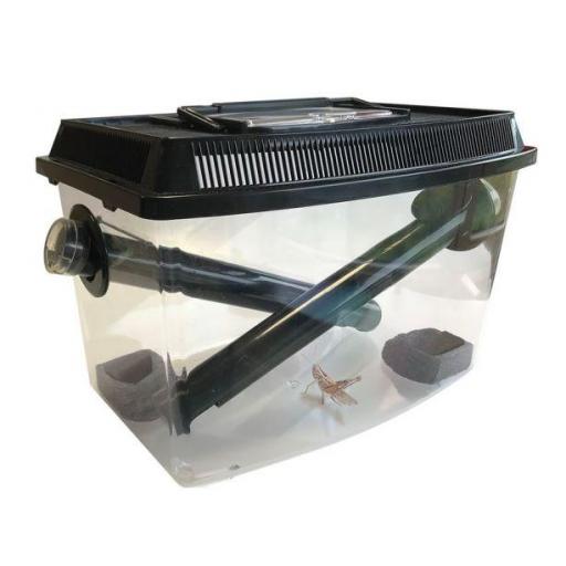 contenedor_grillos_mantenimiento_reptiles