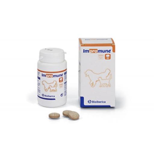 impromune_sistema_inmune_perro_gato_suplemento_nutricional [0]