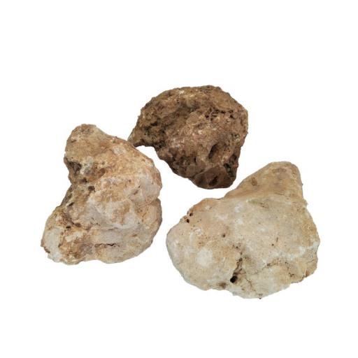 rocalla_acuarios [0]