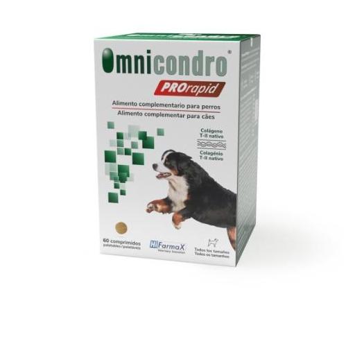 condroprotector_omnicondro_prorapid_perro