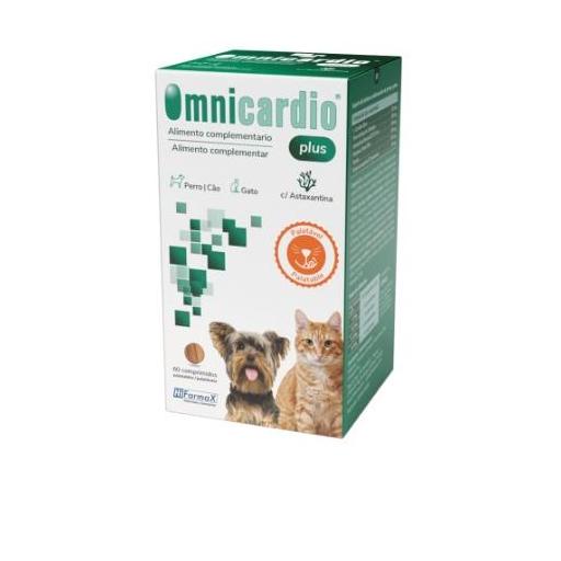 omnicardio_perro_gato