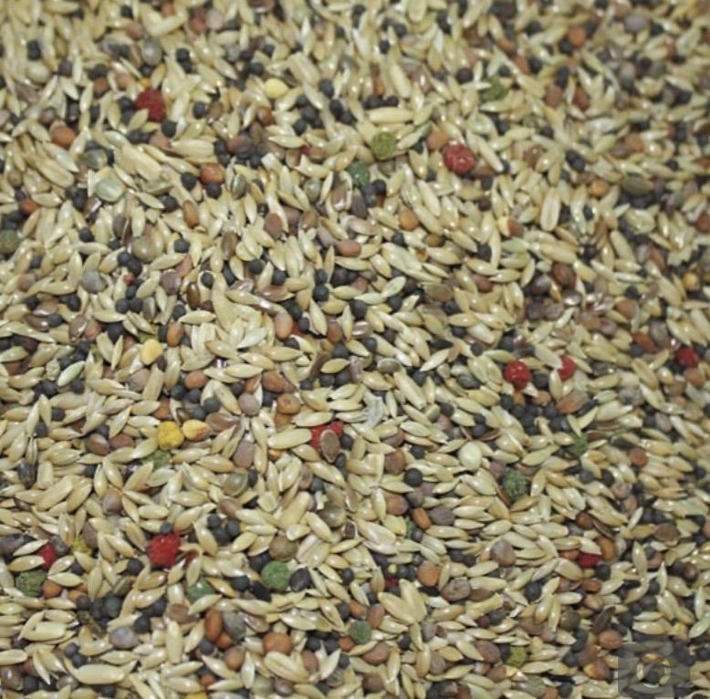 mixtura_mezcla_comida_canarios_jilgueros