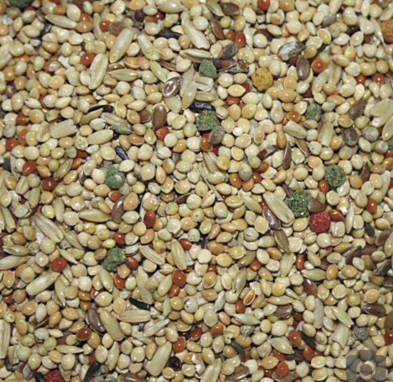mixtura_mezcla_comida_periquitos