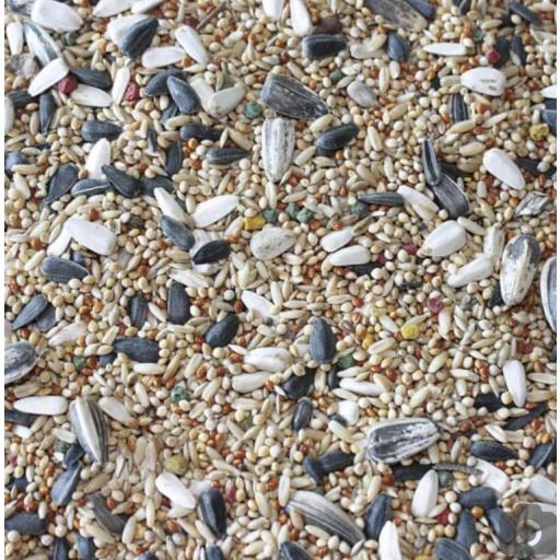 mixtura_comida_mezcla_ninfas_agapornis [0]
