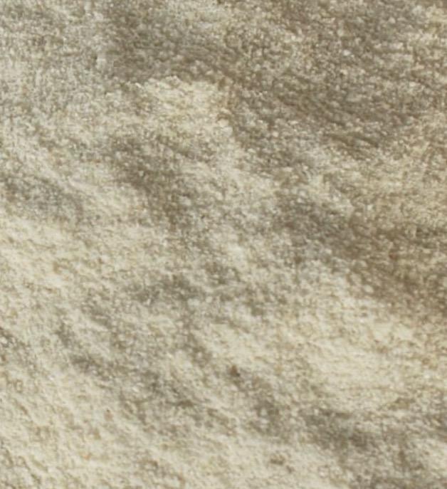 pasta_papilla_cria_pajaros_aves_granivoros_psittacidas