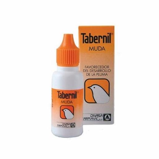 tabernil_muda_pajaros