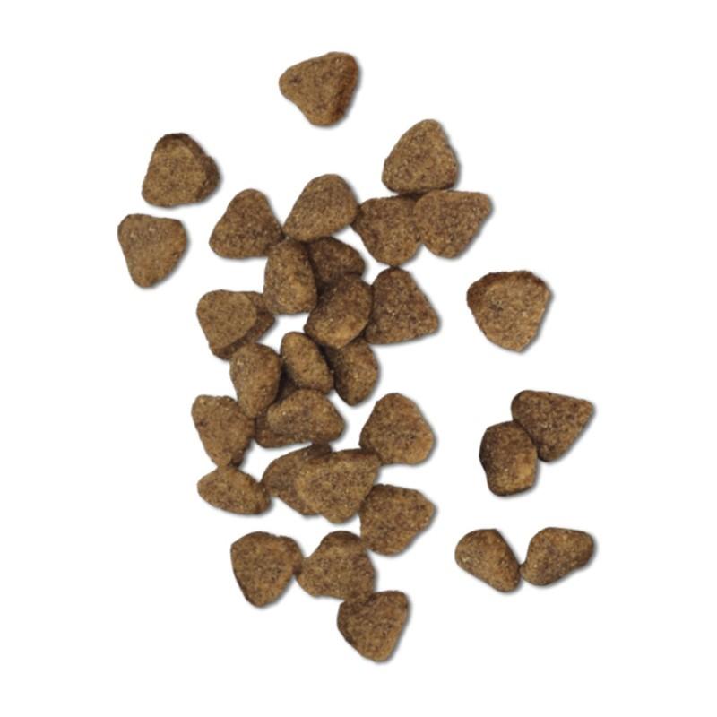 alimento_perro_senior_light