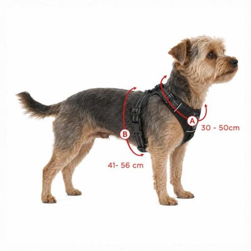 Arnés para perros confortable DOGGY MASTERS [1]
