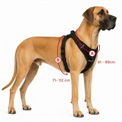 Arnés para perros confortable DOGGY MASTERS [4]