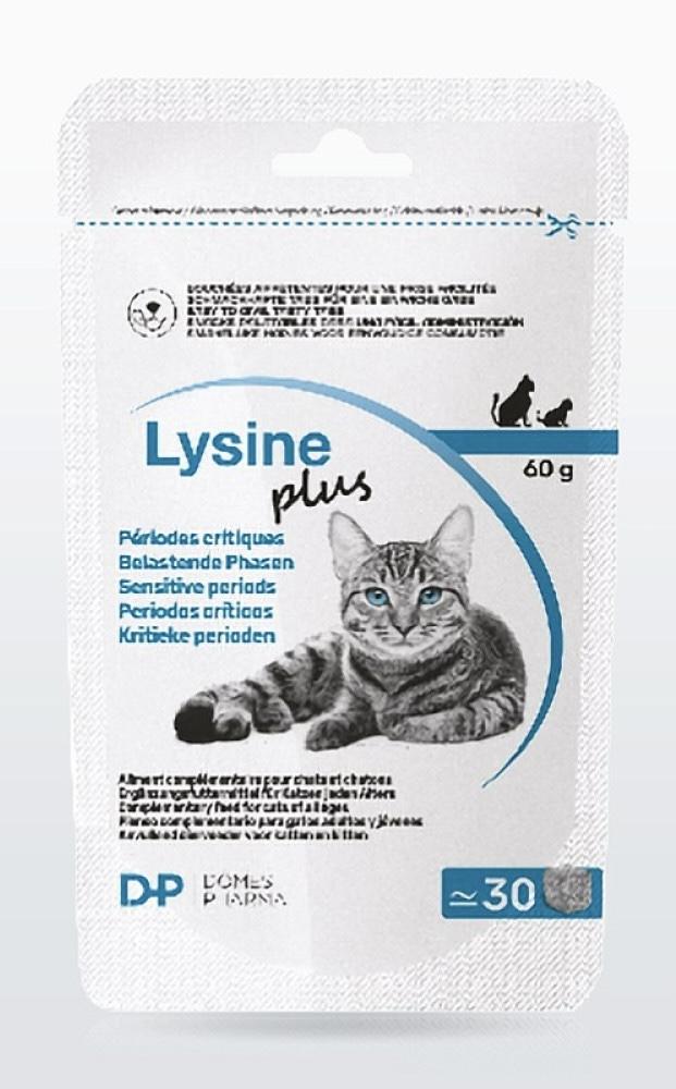 suplemento_nutricional_salud_ocular_gatos_lusineplus