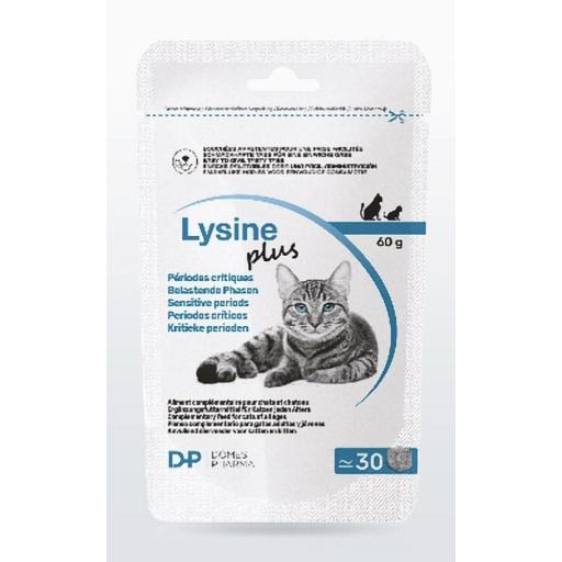 suplemento_nutricional_salud_ocular_gatos_lusineplus [0]