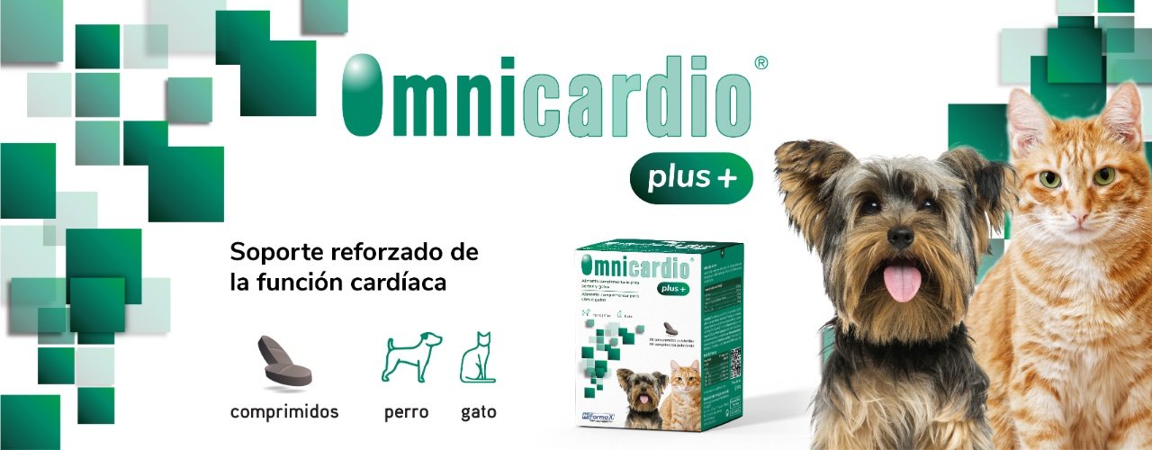 Complemento nutricional para perros y gatos con problemas cardíacos.