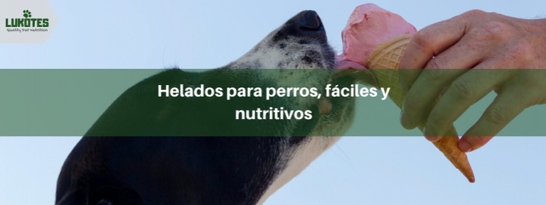 Helados para perros, fáciles y nutritivos