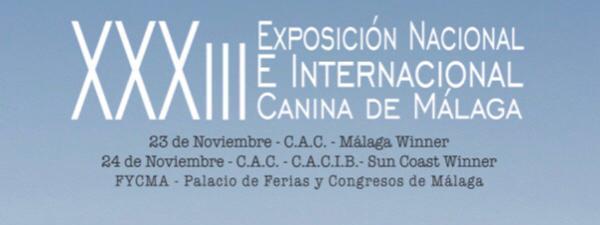 Lukotes en Expocan Málaga 2019