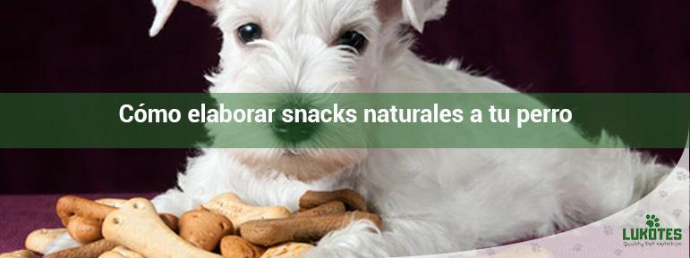 Cómo elaborar snacks naturales a tu perro