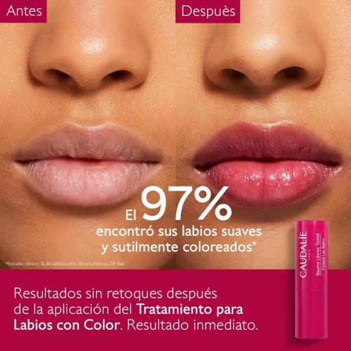 CAUDALIE VINOTHERAPIST TRATAMIENTO PARA LABIOS CON COLOR 4,5G [1]