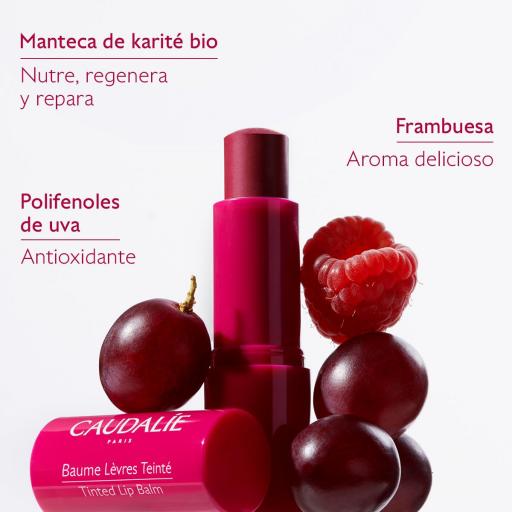 CAUDALIE VINOTHERAPIST TRATAMIENTO PARA LABIOS CON COLOR 4,5G [3]