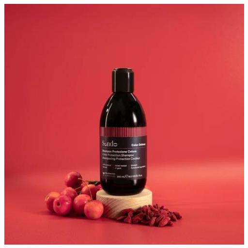 SENDO CHAMPÚ COLOR DEFENSE PROTECTOR DEL COLOR 250 ML