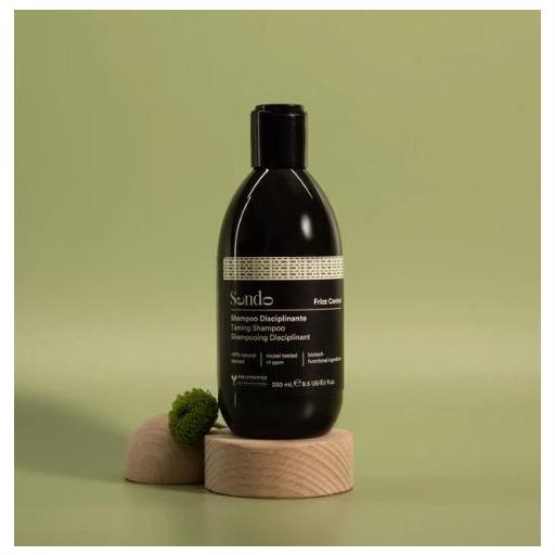 SENDO CHAMPÚ DISCIPLINANTE FRIZZ CONTROL 250ML