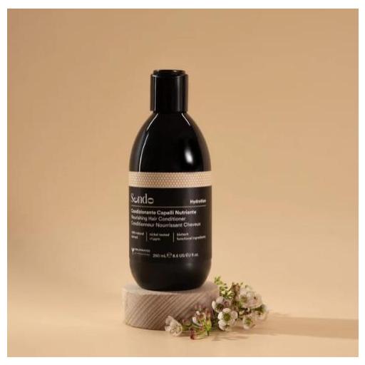 SENDO ACONDICIONADOR NUTRIENTE HYDRATION 250 ML