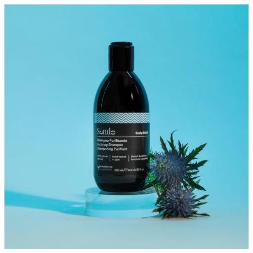 SENDO CHAMPÚ REEQUILIBRANTE SCALP RELIEF 250 ML