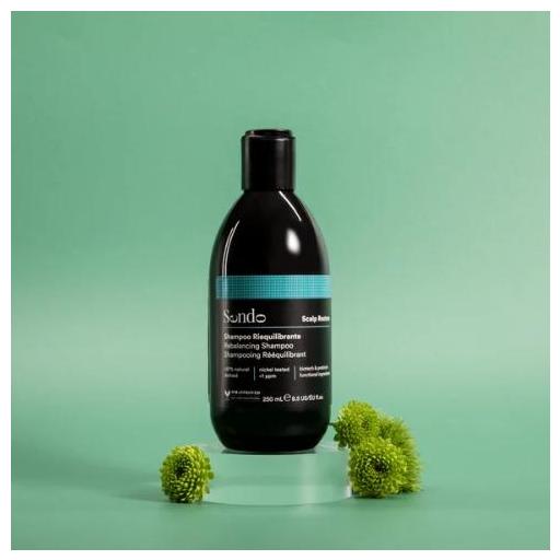 SENDO CHAMPÚ REEQUILIBRANTE SCALP RESTORE 250 ML