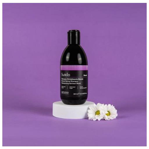 SENDO CHAMPÚ REVITALIZANTE BLONDE 250 ML