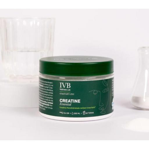IVB CREATINE ESSENTIAL 204.60G