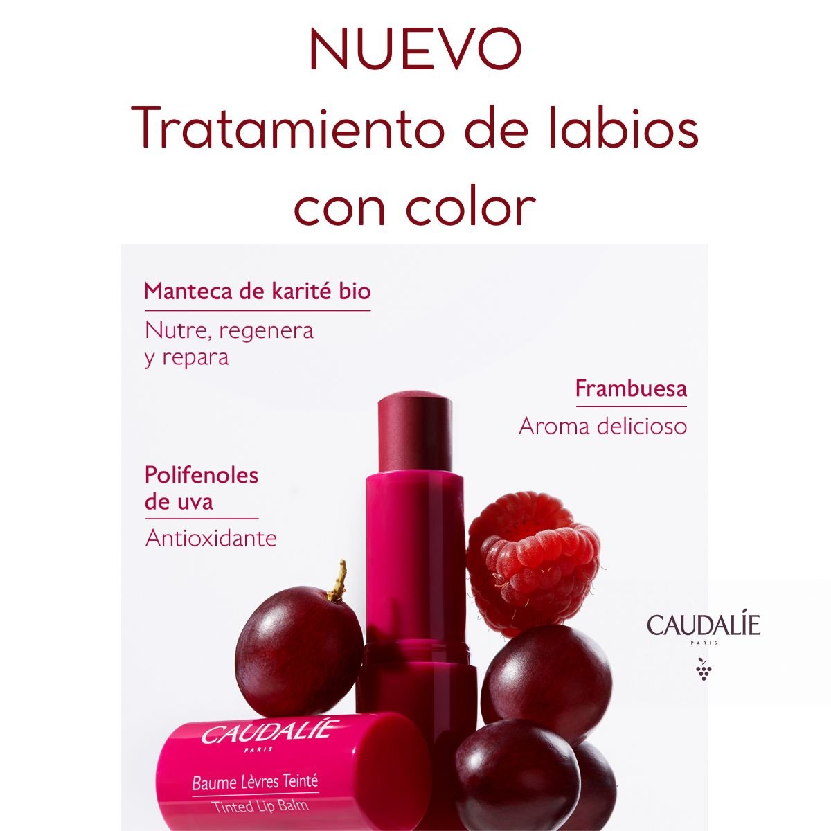NUEVO Tratamiendo de labios con color (1).jpg