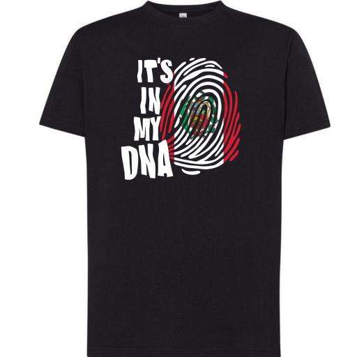 Camiseta DNA Perú