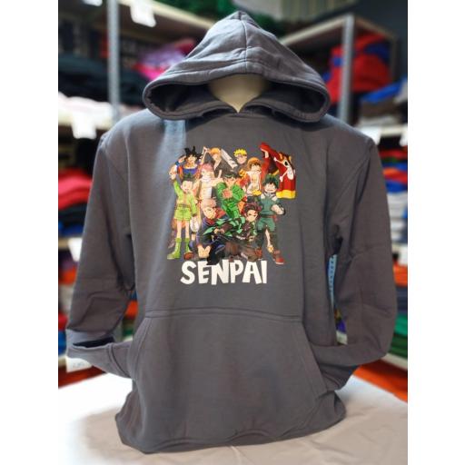 Sudadera con Capucha OUTLET Talla L