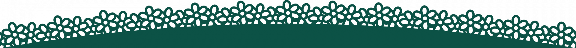 Largo Borde Verde-01.png