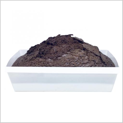 Bizcocho de Chocolate
