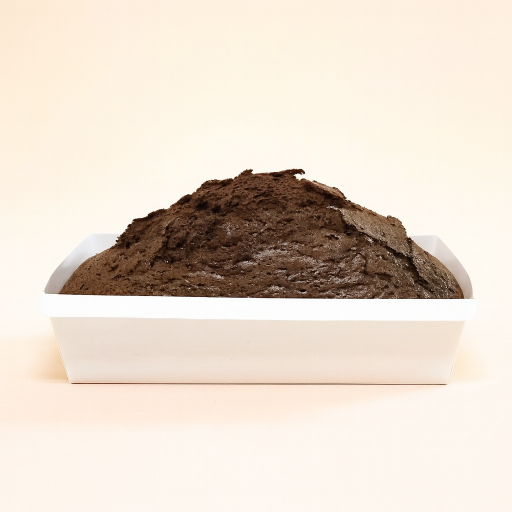 Bizcocho de Chocolate