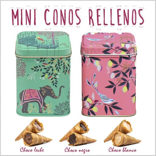 Mini Conos en Cajita (24 ud.) [0]