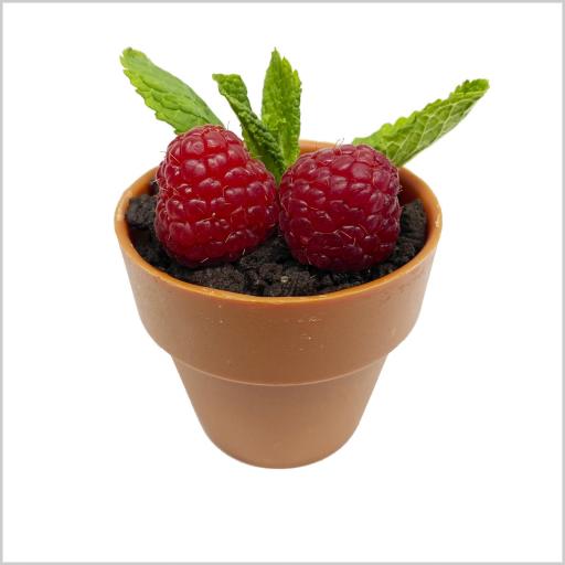 Maceta de Chocolate