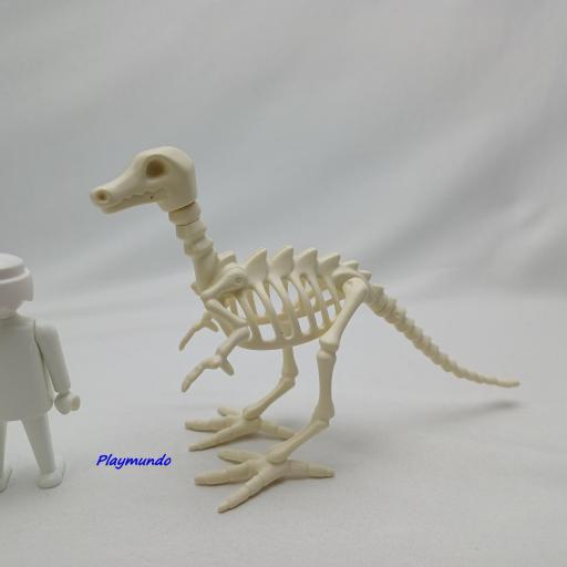 PLAYMOBIL ESQUELETO DINOSAURIO