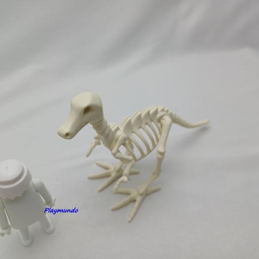 PLAYMOBIL ESQUELETO DINOSAURIO [0]