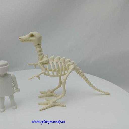 PLAYMOBIL ESQUELETO DINOSAURIO [0]