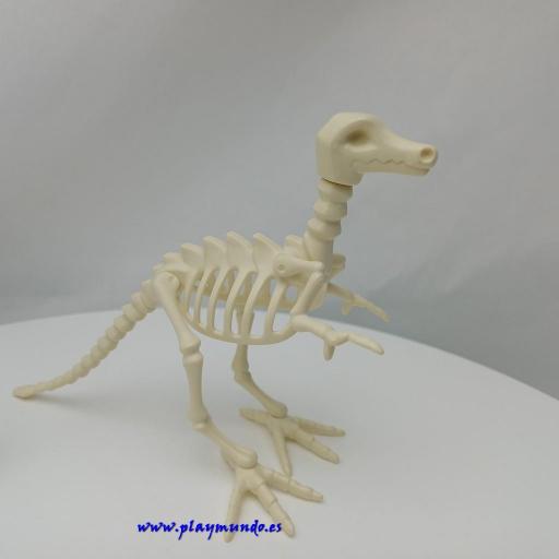 PLAYMOBIL ESQUELETO DINOSAURIO [2]