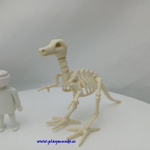 PLAYMOBIL ESQUELETO DINOSAURIO [3]