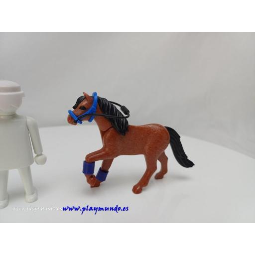 ​PLAYMOBIL POTRO CABALLO ANIMALES MOD07