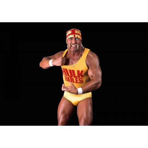 PLAYMOBIL 71958 WWE HULK HOGAN [2]