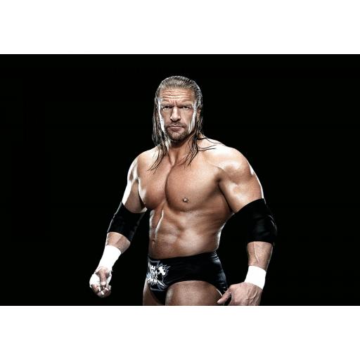 PLAYMOBIL 71963 WWE TRIPLE H [2]