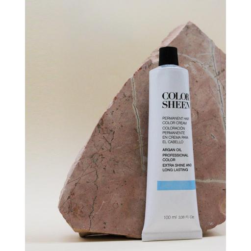 Tinte 01 Plata  Color Sheen 100ml [0]