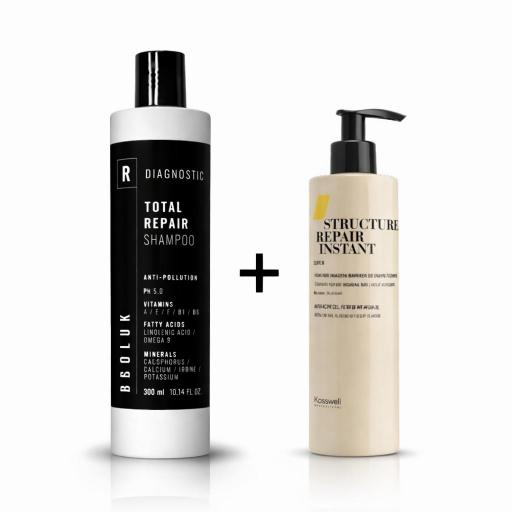 Pack Reparador Capilar Anti Frizz Absoluk Champú 300ml + Instant SR 250ml