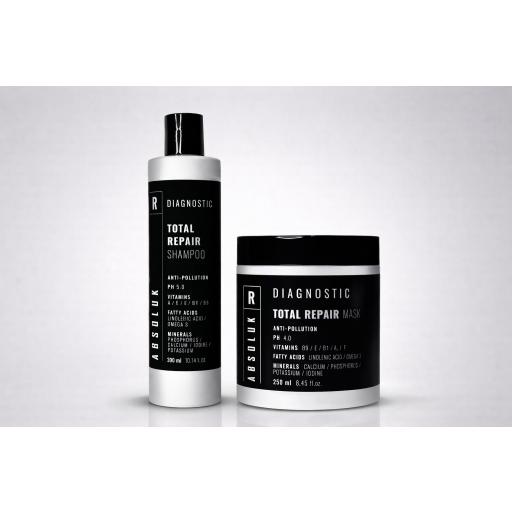 Pack Reparador Capilar Absoluk Champú 300ml + Mascarilla 250ml